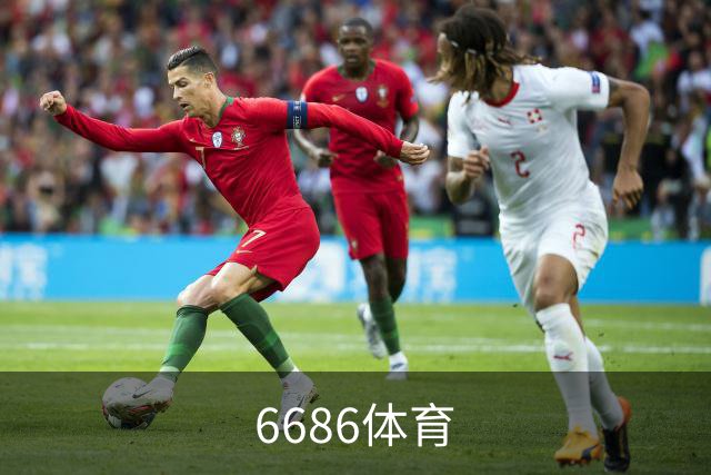 6686体育公司简介